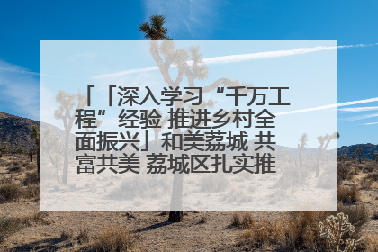 「深入学习“千万工程”经验 推进乡村全面振兴」和美荔城 共富共美 荔城区扎实推进乡村振兴工作